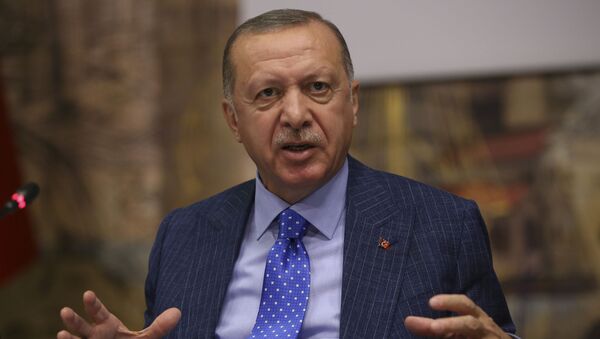 Nhà lãnh đạo Thổ Nhĩ Kỳ Tayyip Erdogan - Sputnik Việt Nam