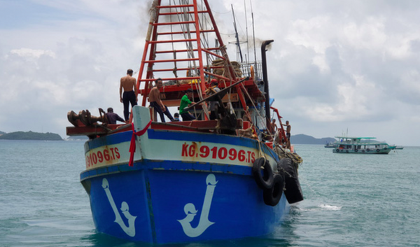 Việt Nam được EC đánh giá cao trong việc khắc phục “thẻ vàng” IUU Việt Nam được EC đánh giá cao trong việc khắc phục “thẻ vàng” IUU - Sputnik Việt Nam