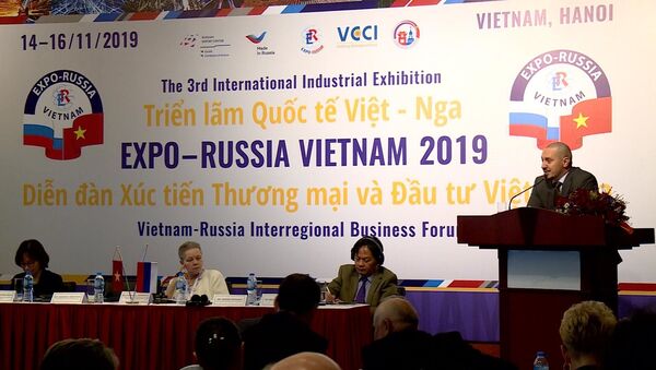 Giám đốc Dự án Những công nghệ cao của Nga Liubov Strozhaeva trên bàn chủ tọa tại Diễn đàn Doanh nghiệp Việt - Nga - Sputnik Việt Nam