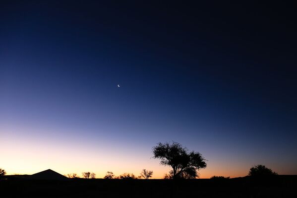 Đêm hoang mạc Kalahari ở Nam Phi - Sputnik Việt Nam