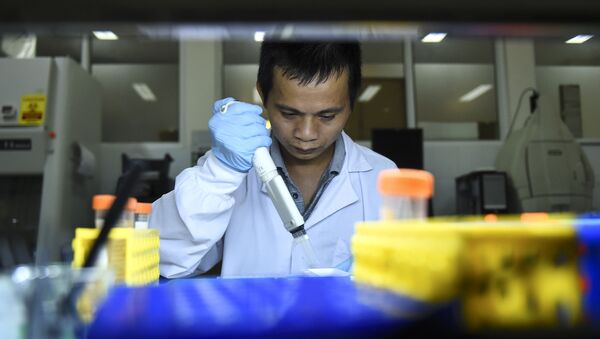 Nhân viên phòng thí nghiệm nghiên cứu mẫu muỗi tại Viện Vệ sinh và Dịch tễ học Quốc gia tại Hà Nội - Sputnik Việt Nam