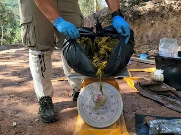 Tìm thấy 7 kg rác trong dạ dày của một con nai chết ở Thái Lan Tìm thấy 7 kg rác trong dạ dày của một con nai chết ở Thái Lan - Sputnik Việt Nam