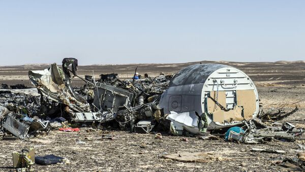 Mảnh vỡ máy bay Airbus A321 của hãng Kogalymavia, bay từ thành phố Sharm el Sheikh đến Saint Petersburg. - Sputnik Việt Nam