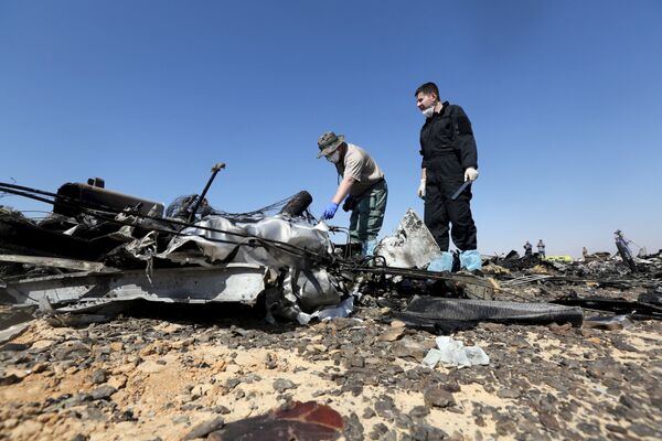 Các nhà điều tra của Ủy ban Điều tra Liên bang Nga tại hiện trường vụ tai nạn máy bay của hãng Kogalymavia, bay từ thành phố Sharm el Sheikh đến Saint Petersburg. - Sputnik Việt Nam