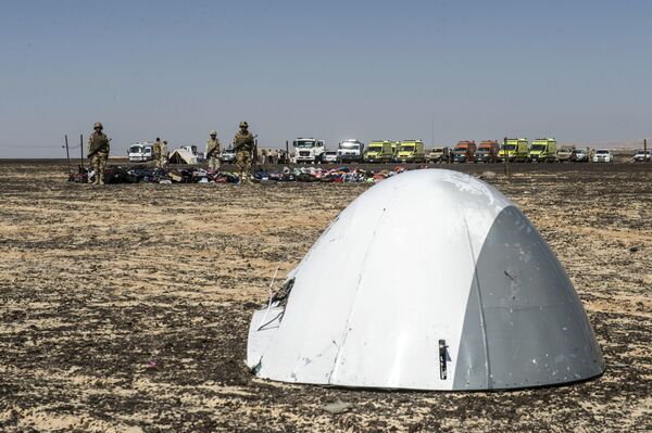 Phần mũi máy bay Airbus A321 của hãng Kogalymavia bị rơi ở bán đảo Sinai. - Sputnik Việt Nam
