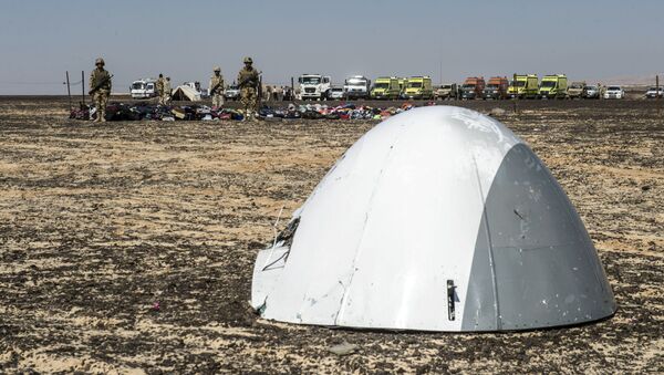 Phần mũi máy bay Airbus A321 của hãng Kogalymavia bị rơi ở bán đảo Sinai. - Sputnik Việt Nam