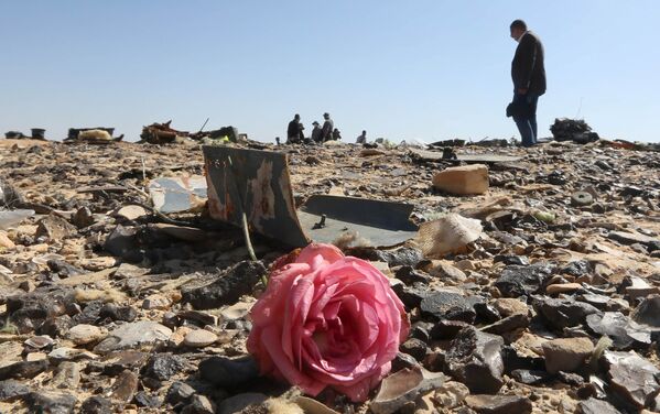 Hoa hồng tại nơi máy bay Airbus A321 rơi ở Ai Cập. - Sputnik Việt Nam
