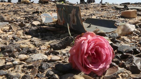 Hoa hồng tại nơi máy bay Airbus A321 rơi ở Ai Cập. - Sputnik Việt Nam