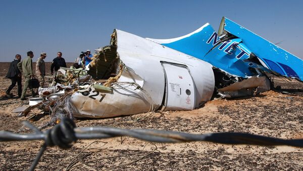 Mảnh vỡ máy bay Airbus A321 của hãng Kogalymavia, bay từ thành phố Sharm el Sheikh đến Saint Petersburg - Sputnik Việt Nam