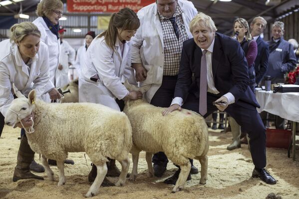 Thủ tướng Anh, ông Boris Johnson đến thăm Triển lãm các địa phương của xứ Wales tại Llanelvedde, Wales - Sputnik Việt Nam