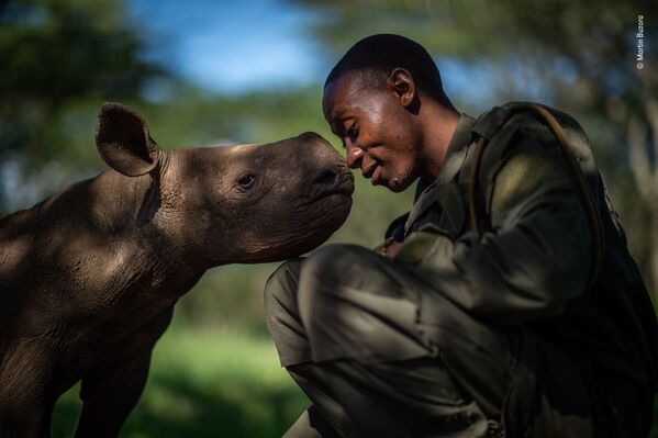 Hình ảnh The surrogate mother (Người mẹ thay thế) về người bảo vệ Kenya chăm sóc con tê giác đen nhỏ mồ côi, nhiếp ảnh gia Canada Martin Buzora, lọt vào shortlist của LUMIX People Choice Award - Sputnik Việt Nam