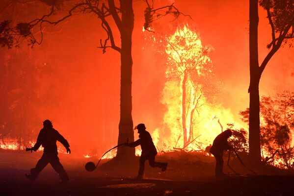 Tình nguyện viên, lính cứu hỏa và nhân viên cứu hộ ở New South Wales dập lửa gần ngôi làng Termeil, Australia - Sputnik Việt Nam