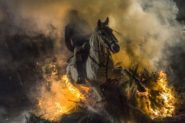 Kỵ sỹ cưỡi ngựa vượt qua ngọn lửa trong lễ hội Las Luminarias hàng năm ở làng San Bartolome de Pinar, Tây Ban Nha - Sputnik Việt Nam
