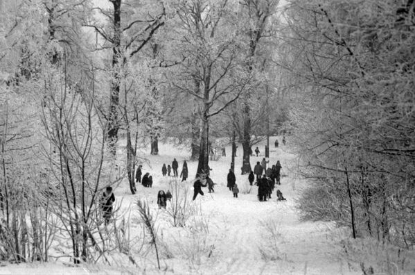 Cư dân quận Yasenevo của Moskva đi dạo trong công viên mùa Đông - Sputnik Việt Nam