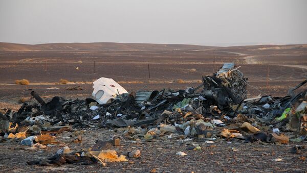 Công việc tìm kiếm ở hiện trường vụ tai nạn máy bay Airbus A321 của Nga tại Ai Cập - Sputnik Việt Nam