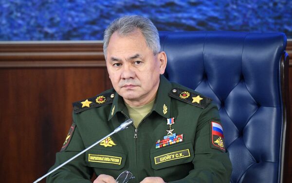 Bộ trưởng Bộ Quốc phòng Nga Sergei Shoigu. - Sputnik Việt Nam