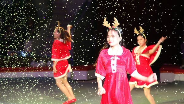 Lễ hội Năm mới do Trung tâm Khoa học và Văn hóa Nga tại Hà Nội tổ chức tại Rạp xiếc Trung ương Hà Nội - Sputnik Việt Nam