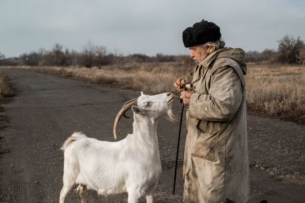 Người đàn ông cao niên và con dê ở làng Donetsk, tỉnh Luhansk - Sputnik Việt Nam