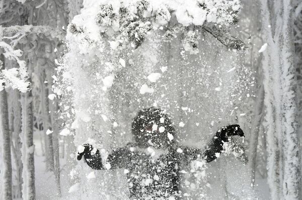Người phụ nữ đi dạo trong rừng tuyết bên bờ sông Enisei - Sputnik Việt Nam