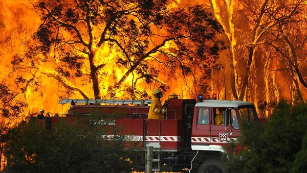 Lực lượng cứu hỏa trong vụ cháy rừng ở Úc - Sputnik Việt Nam