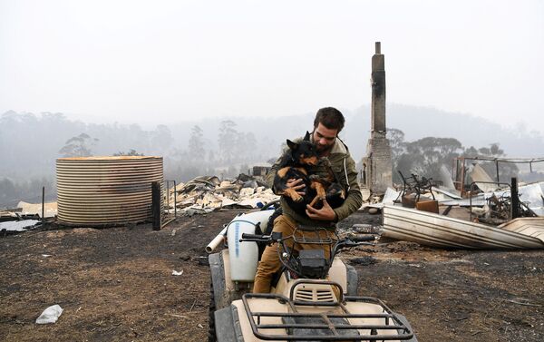 Người đàn ông với con chó trên nền cảnh ngôi nhà bị cháy ở Úc - Sputnik Việt Nam