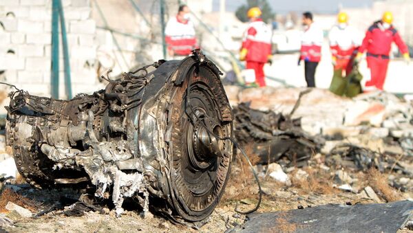 Vụ tai nạn máy bay Boeing 737-800 - Sputnik Việt Nam
