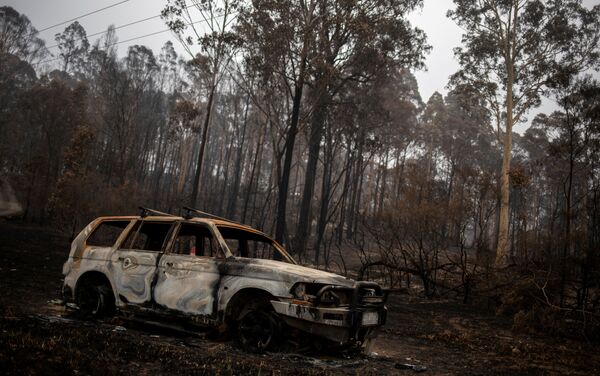 Hậu quả vụ cháy rừng ở Úc - Sputnik Việt Nam