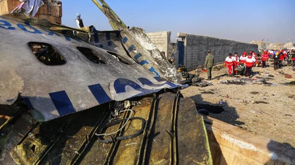 Vụ tai nạn thương tâm của Boeing 737-800 của Hãng hàng không quốc tế Ukraina, chuyến bay số hiệu 752, gần Tehran, Iran - Sputnik Việt Nam