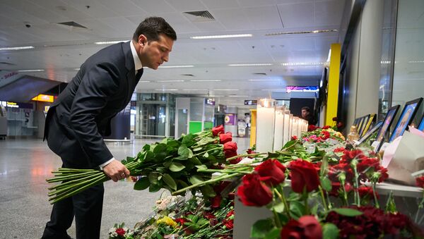 Tổng thống Ukraine Vladimir Zelensky tại sân bay Kiev Borispol. - Sputnik Việt Nam