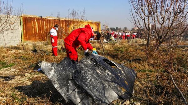 Vụ tai nạn máy bay Boeing 737-800 của Ukraina. - Sputnik Việt Nam