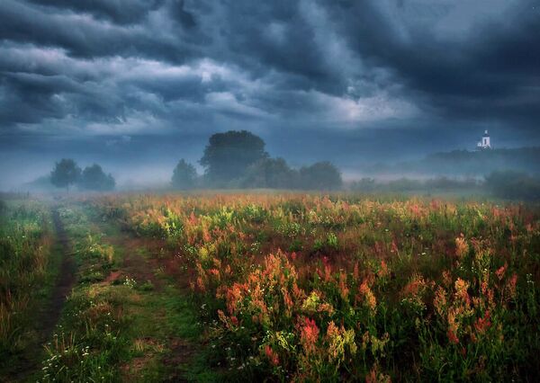 Bức ảnh «Tương phản» của nhiếp ảnh gia Evgenia Botova, giành giải thưởng ở hạng mục «Phong cảnh» trong cuộc thi «Thiên nhiên hoang dã của nước Nga» do National Geographic phát động. - Sputnik Việt Nam