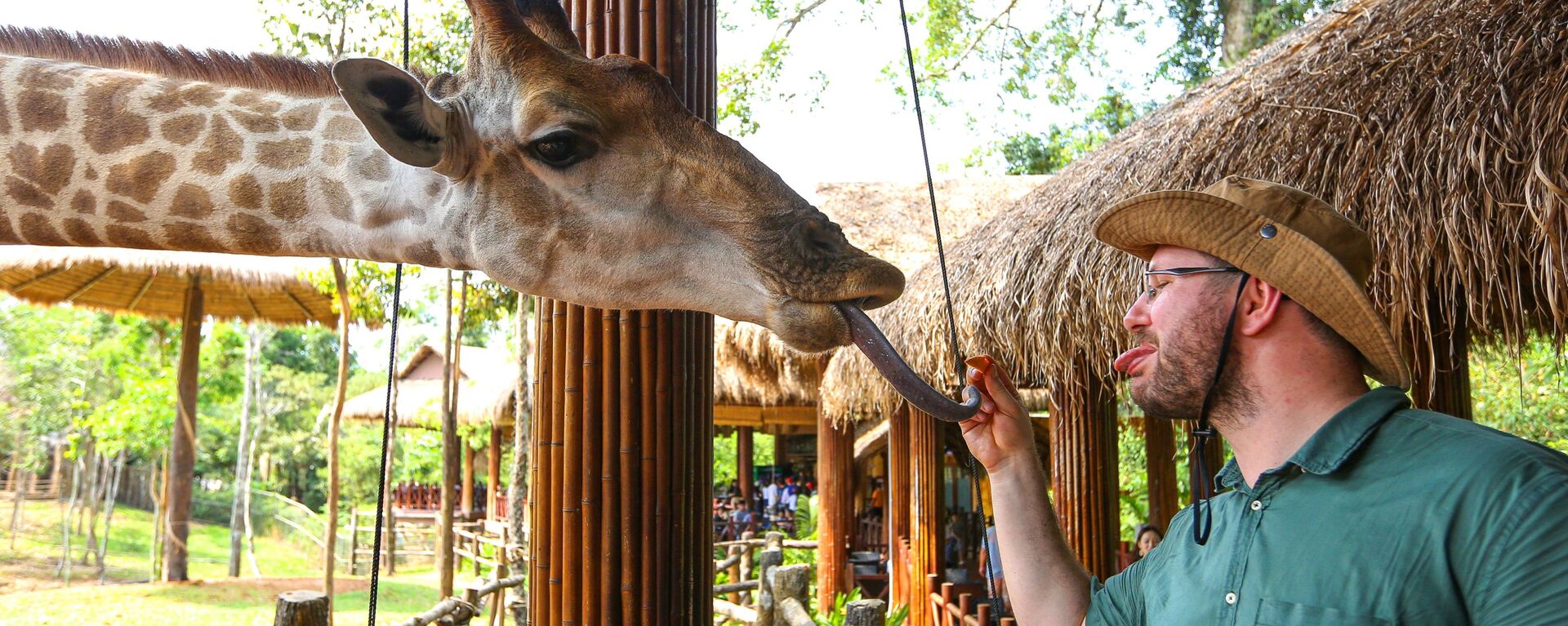 Du khách cho hươu cao cổ ăn tại công viên VinPearl Safari trên đảo Phú Quốc, Việt Nam  - Sputnik Việt Nam, 1920, 21.03.2022