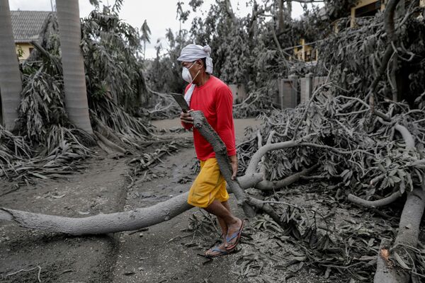 Người đàn ông dọn dẹp cây đổ sau vụ phun trào núi lửa Taal ở Philippines - Sputnik Việt Nam