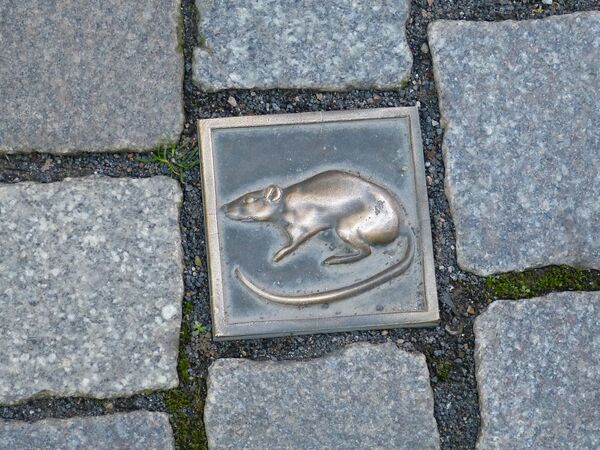 Hình ảnh con chuột trên vỉa hè vinh danh huyền thoại Người bắt chuột ở Hameln (Đức) - Sputnik Việt Nam