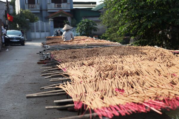 Que hương nhuộm màu được trải ra để phơi khô  - Sputnik Việt Nam
