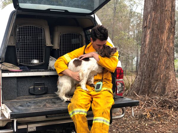 Huấn luyện viên Ryan Tate với chó Taylor trung thành giúp tìm kiếm những con gấu trúc koala bị ảnh hưởng bởi cháy rừng ở Australia  - Sputnik Việt Nam