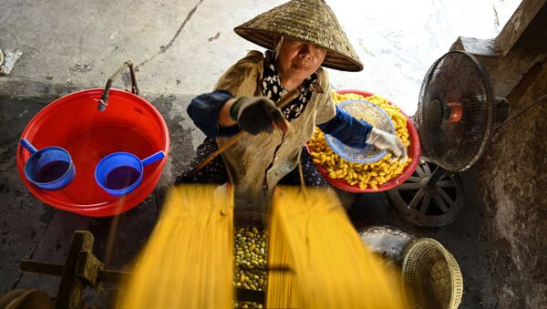 Người phụ nữ Việt Nam đang thu sợi tơ  - Sputnik Việt Nam
