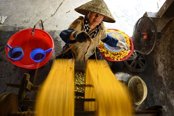 Người phụ nữ Việt Nam đang thu sợi tơ  - Sputnik Việt Nam