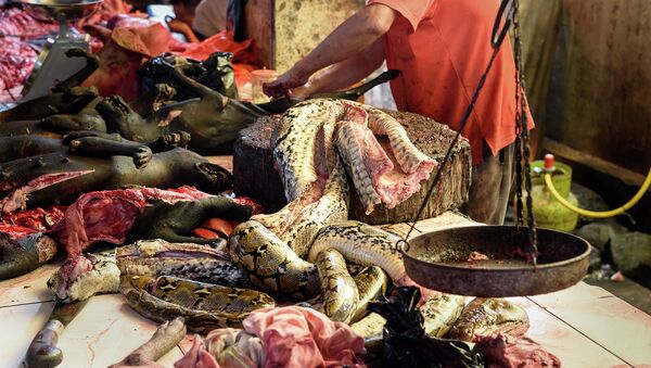 Thịt rắn bán ở chợ truyền thống của Indonesia - Sputnik Việt Nam