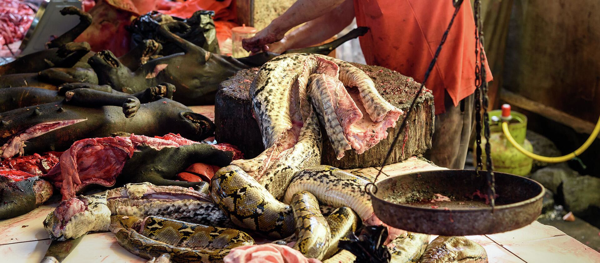 Thịt rắn bán ở chợ truyền thống của Indonesia - Sputnik Việt Nam, 1920, 23.01.2020