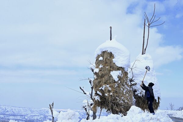 Cư dân làng Ấn Độ gạt tuyết khỏi đống cỏ khô - Sputnik Việt Nam