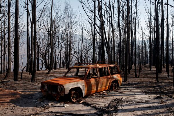 Chiếc xe bị cháy trong thung lũng Kangaroo sau vụ cháy rừng ở Úc - Sputnik Việt Nam