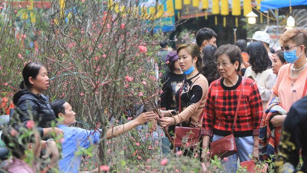 Người dân chọn mua cành đào tại chợ hoa Hàng Lược - Sputnik Việt Nam