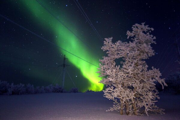 Ánh cực quang ở tỉnh Murmansk, Nga - Sputnik Việt Nam