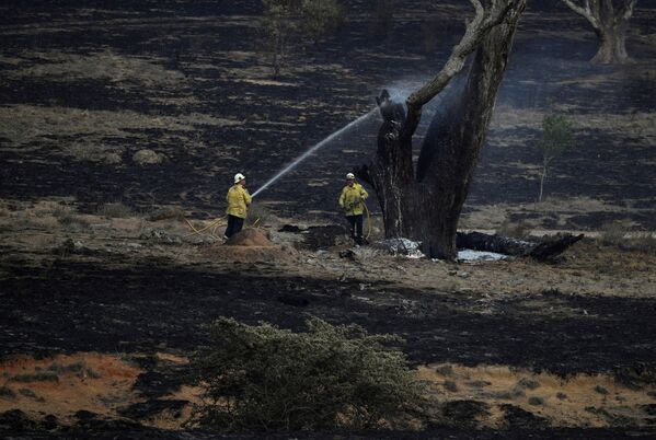 Lính cứu hỏa dập tắt cây cháy âm ỉ sót lại sau vụ cháy rừng ở Bambalong, Australia - Sputnik Việt Nam