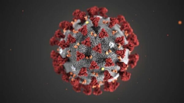 Việt Nam: 16 ca nhiễm coronavirus, sắp có bộ sinh phẩm chẩn đoán nhanh Covid-2019 Việt Nam: 16 ca nhiễm coronavirus, sắp có bộ sinh phẩm chẩn đoán nhanh Covid-2019 - Sputnik Việt Nam