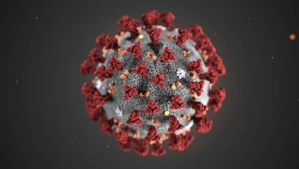 Hình ảnh chủng mới của virus Corona gây dịch bệnh viêm đường hô hấp cấp được WHO đặt tên là Covid-19.  - Sputnik Việt Nam