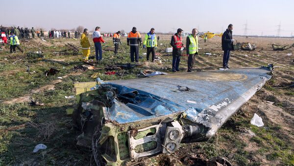 Tại nơi xảy ra vụ tai nạn máy bay chở khách của các hãng hàng không Ukraine ở Iran - Sputnik Việt Nam