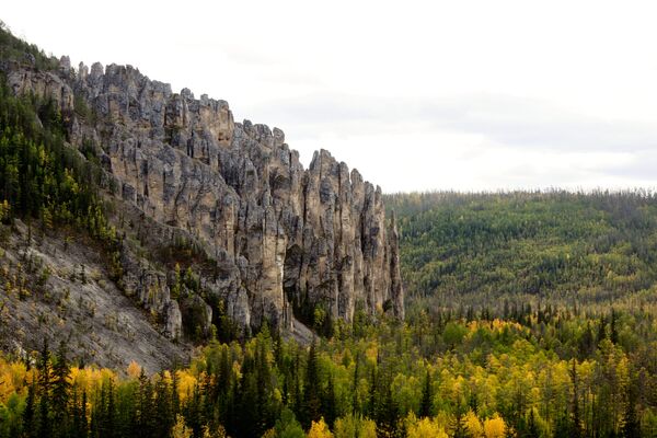 Vườn Bảo tồn thiên nhiên quốc gia Những cột đá Lensky”  ở Yakutia - Sputnik Việt Nam