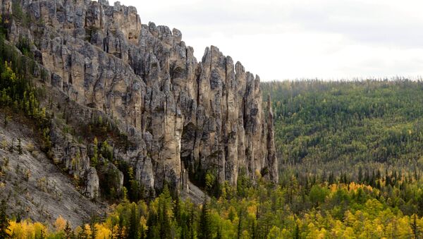 Vườn Bảo tồn thiên nhiên quốc gia Những cột đá Lensky”  ở Yakutia - Sputnik Việt Nam
